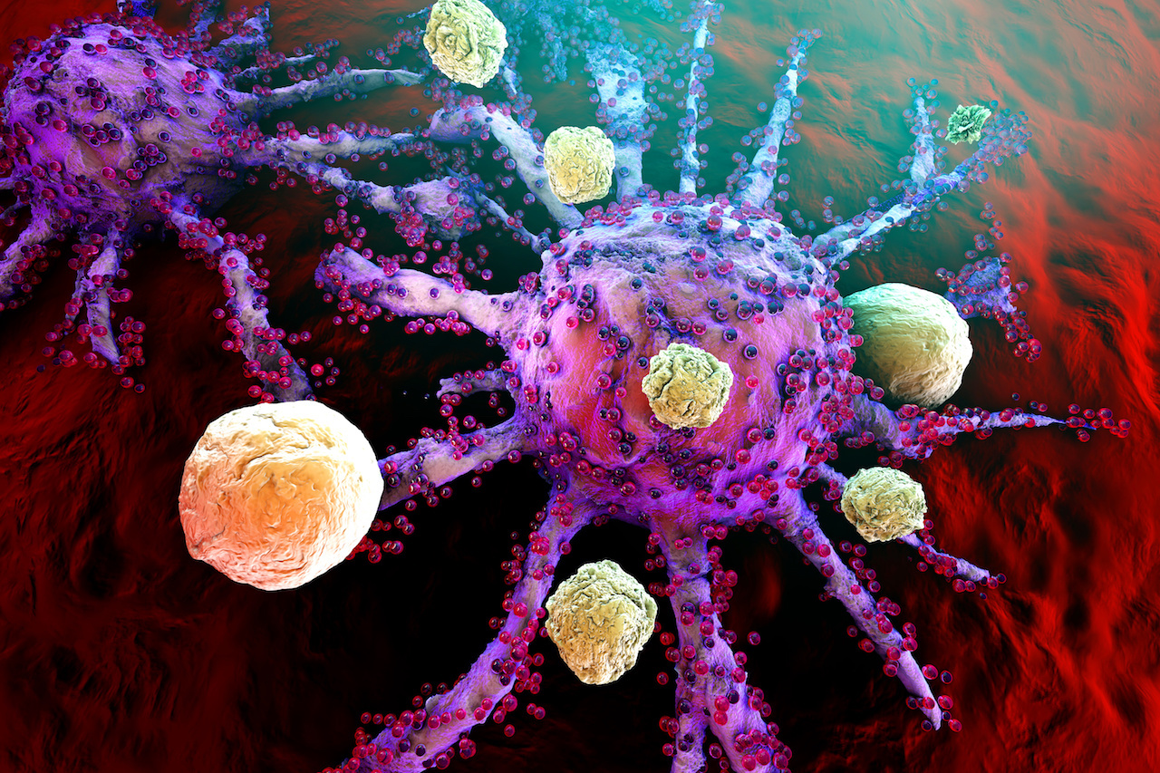 The New Frontier In Fighting Cancer Immunotherapies Breakthrough Cancer Researchbreakthrough 0176
