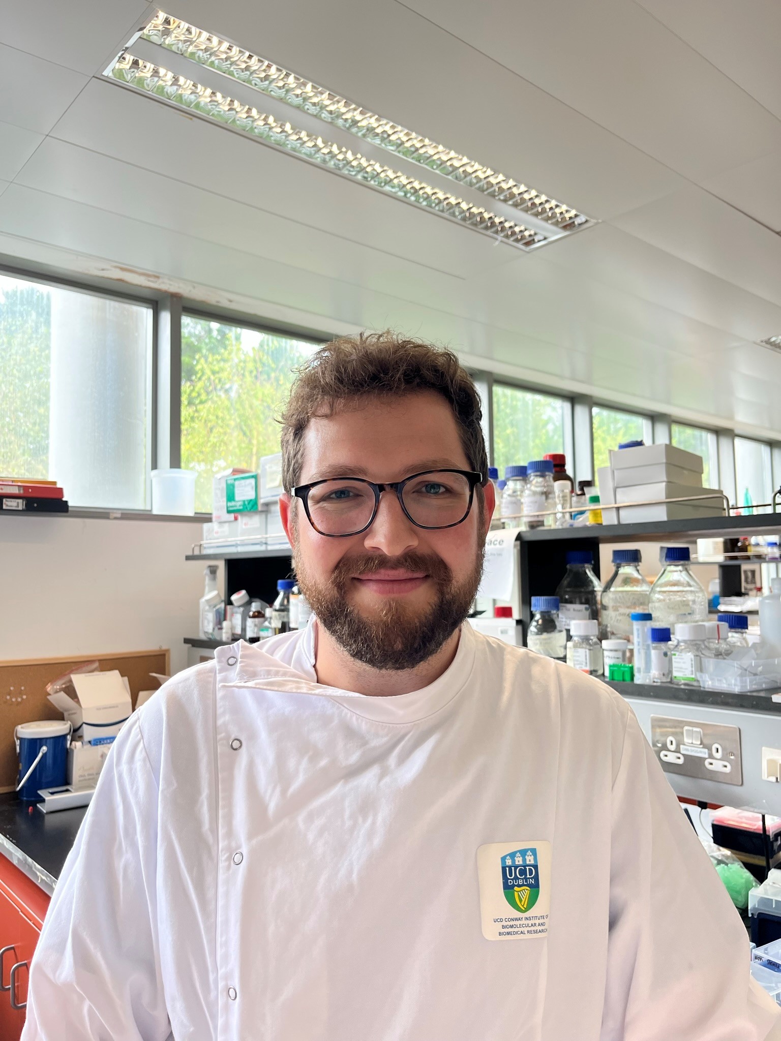 Multiparametric analysis of the pancreatic cancer microenvironment in response to neoadjuvant